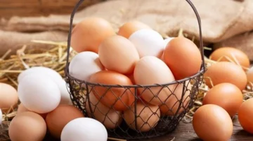 انخفاض سعر كرتونة البيض في بورصة الدواجن اليوم ينعكس على أسعار السوق المحلية 1